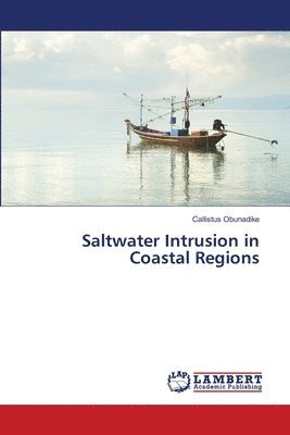 bokomslag Saltwater Intrusion in Coastal Regions