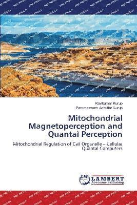 Mitochondrial Magnetoperception and Quantal Perception 1