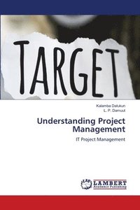 bokomslag Understanding Project Management