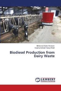 bokomslag Biodiesel Production from Dairy Waste