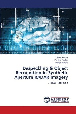 Despeckling & Object Recognition in Synthetic Aperture RADAR Imagery 1