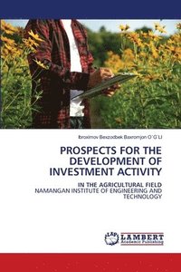 bokomslag Prospects for the Development of Investment Activity