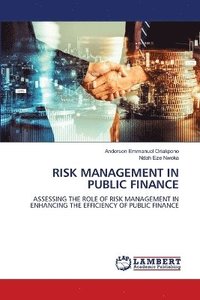 bokomslag Risk Management in Public Finance