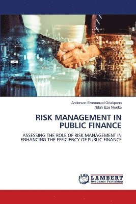 bokomslag Risk Management in Public Finance