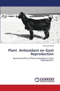 bokomslag Plant Antioxidant on Goat Reproduction