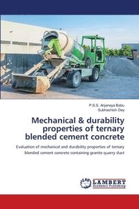 bokomslag Mechanical & durability properties of ternary blended cement concrete