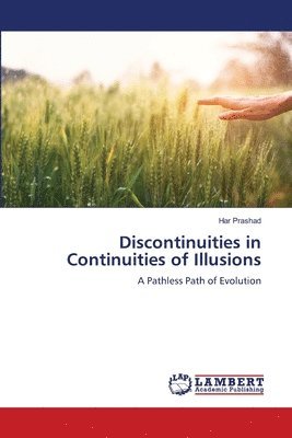 bokomslag Discontinuities in Continuities of Illusions