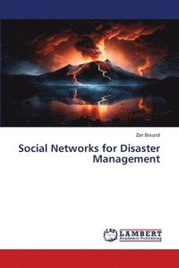 bokomslag Social Networks for Disaster Management
