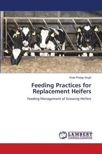 bokomslag Feeding Practices for Replacement Heifers