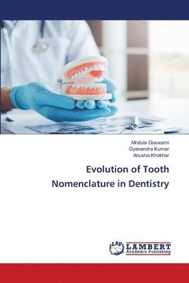 Evolution of Tooth Nomenclature in Dentistry 1