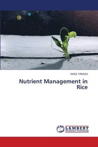 bokomslag Nutrient Management in Rice