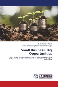 bokomslag Small Business, Big Opportunities