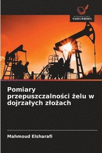 bokomslag Pomiary przepuszczalno?ci ?elu w dojrzalych zlo?ach