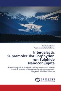 bokomslag Intergalactic Supramolecular Porphyrion Iron Sulphide Nanoconjugate
