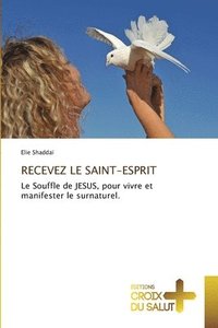 bokomslag Recevez Le Saint-Esprit