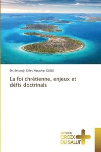 bokomslag La foi chrtienne, enjeux et dfis doctrinals