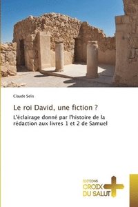 bokomslag Le roi David, une fiction ?
