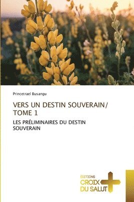 bokomslag Vers Un Destin Souverain/ Tome 1