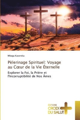 bokomslag Pèlerinage Spirituel