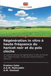 bokomslag Régénération in vitro à haute fréquence du haricot noir et du pois chiche