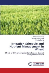 bokomslag Irrigation Schedule and Nutrient Management in Wheat