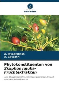 bokomslag Phytokonstituenten von Ziziphus jujuba-Fruchtextrakten