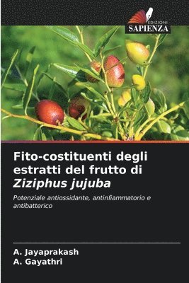 Fito-costituenti degli estratti del frutto di Ziziphus jujuba 1