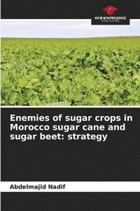 bokomslag Enemies of sugar crops in Morocco sugar cane and sugar beet