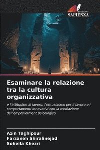 bokomslag Esaminare la relazione tra la cultura organizzativa