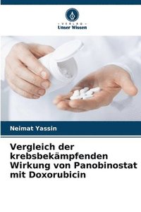 bokomslag Vergleich der krebsbekmpfenden Wirkung von Panobinostat mit Doxorubicin