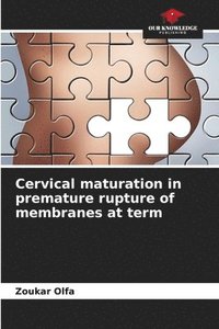 bokomslag Cervical maturation in premature rupture of membranes at term