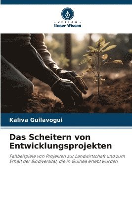 bokomslag Das Scheitern von Entwicklungsprojekten