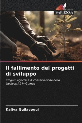 bokomslag Il fallimento dei progetti di sviluppo