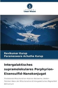 bokomslag Intergalaktisches supramolekulares Porphyrion-Eisensulfid-Nanokonjugat
