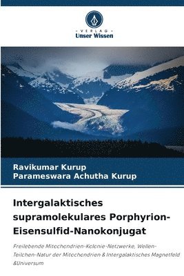 Intergalaktisches supramolekulares Porphyrion-Eisensulfid-Nanokonjugat 1