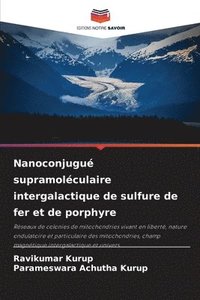 bokomslag Nanoconjugu supramolculaire intergalactique de sulfure de fer et de porphyre