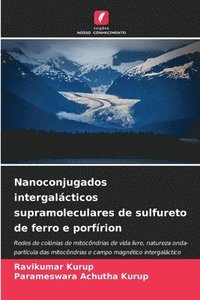 bokomslag Nanoconjugados intergalcticos supramoleculares de sulfureto de ferro e porfrion