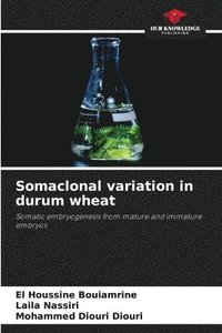 bokomslag Somaclonal variation in durum wheat