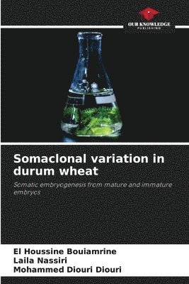 Somaclonal variation in durum wheat 1