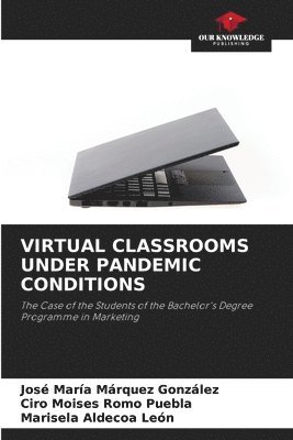 Virtual Classrooms Under Pandemic Conditions 1
