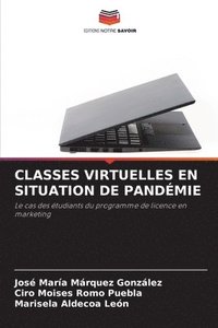 bokomslag Classes Virtuelles En Situation de Pandmie