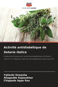 bokomslag Activit antidiabtique de Setaria italica