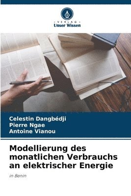 bokomslag Modellierung des monatlichen Verbrauchs an elektrischer Energie