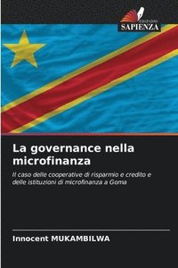 bokomslag La governance nella microfinanza