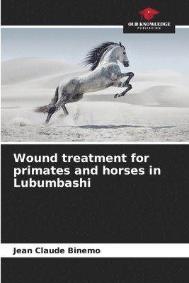 Wound treatment for primates and horses in Lubumbashi 1