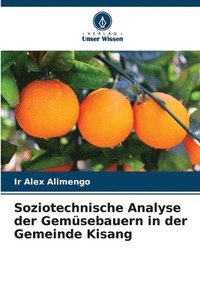 bokomslag Soziotechnische Analyse der Gemsebauern in der Gemeinde Kisang