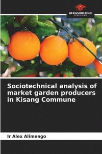 bokomslag Sociotechnical analysis of market garden producers in Kisang Commune