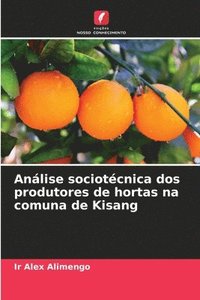 bokomslag Anlise sociotcnica dos produtores de hortas na comuna de Kisang