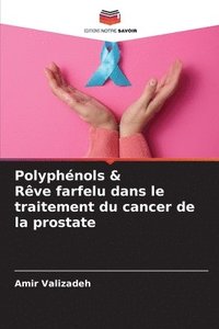 bokomslag Polyphnols & Rve farfelu dans le traitement du cancer de la prostate