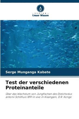 bokomslag Test der verschiedenen Proteinanteile